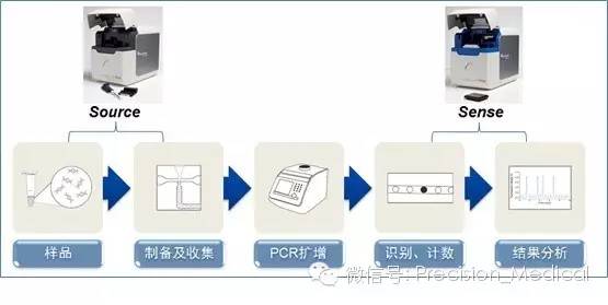 基因突變檢測技術 原理、應用與未來展望